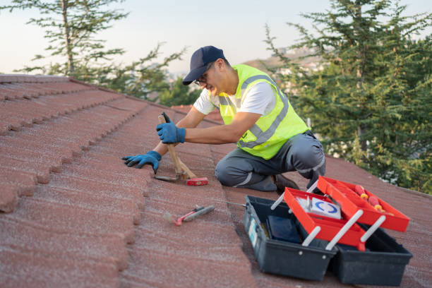 Best Affordable Roofing Company  in Bude, MS